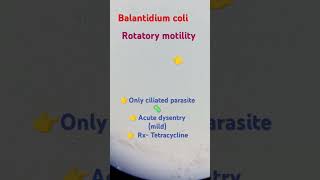 drpreetimicrobiology Bcoli neetpg microbiology mbbs lab motility trending viralshorts fun [upl. by Ahseryt413]