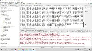 Log4j2 logging in Selenium Java Framework using Log4j2 Properties amp Log4j2 xml [upl. by Luanne]