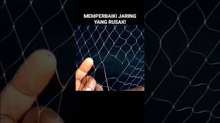 Memperbaiki Jaring Yang Rusak viralshorts fyp shorts jalamania [upl. by Reece]