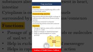 Cellular junctions Gap junctions  Physiology  by Imran Yaseen [upl. by Nwahsear]