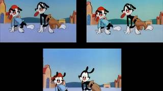 Animaniacs Intro Comparison All seasons [upl. by Atteuqihc]