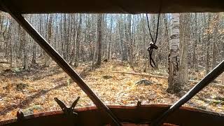 Barronett OX5 Hunting Blind and a view of what I see [upl. by Bik710]