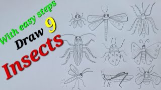 Insects drawing easy draw housefly Draw mosquito Draw honey bee Draw lady bug Draw dragonfly [upl. by Einolem]