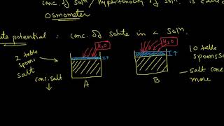 ICSE Class X Biology Absorption By Roots Episode 217 [upl. by Torin]