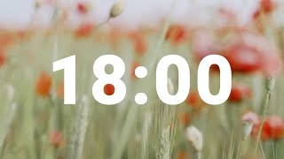 18 Minute Timer with Relaxing Music and Alarm Countdown Clock for Stress Relief [upl. by Dragde880]