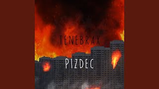 Pizdec [upl. by Eugnimod]