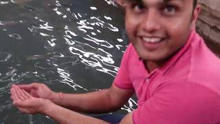 Tulsishyam  Garam Pani Kund Hot Water Springs  Anti Gravity Hill at Tuslsi Shaym  Gujarat [upl. by Ylirama]