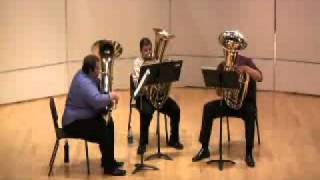 Tuba Trio Ludus 1st MVT By Vaclav Nelhybel [upl. by Harmonie]