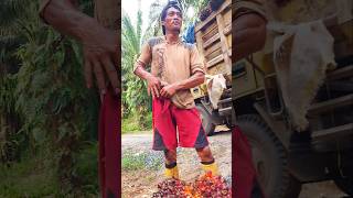 Di tantangin sopir angkat buah sawit besar viralvideo shorts [upl. by Aimit464]