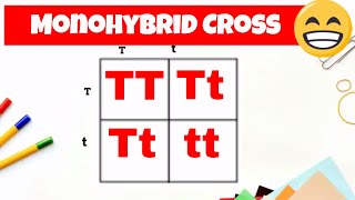 Monohybrid cross and the Punnett square [upl. by Hamitaf22]