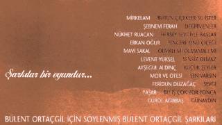 Mavi Sakal  Olmalı mı Olmamalı mı  Bülent Ortaçgil Tribute Official audio adamüzik [upl. by Ahsead]