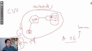 Eindexamen Biologie HAVO Live QampA  2024 [upl. by Sarita]