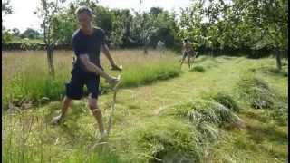 Cutting orchard grass by scythe [upl. by Osrit602]