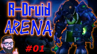 Heal Druide PvP Arena Deutsch World of Warcraft BFA 83 01 [upl. by Ynafit248]