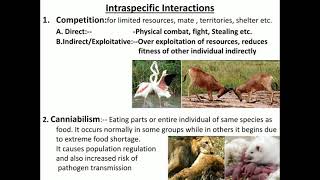 Intraspecific interaction [upl. by Greenleaf]