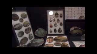 quartzsite pow wow rock and gem show 2015 showcase displays [upl. by Aynad]