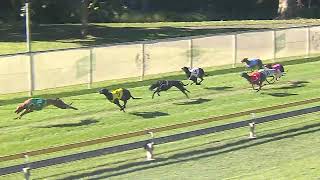 Capalaba21072024Race6 [upl. by Amaral]