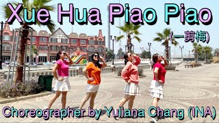 XUE HUA PIAO PIAO  一剪梅  Remix  Line Dance [upl. by Janus]