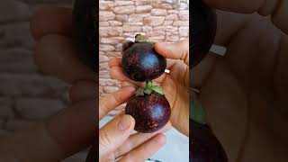 Mangostin Mangostan mangostin mangosteen frucht obst rohkost fruchtkost vegan raw gesund [upl. by Bush662]