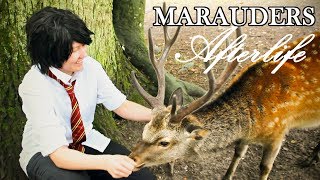 CMV Marauders  Afterlife [upl. by Okoyk]