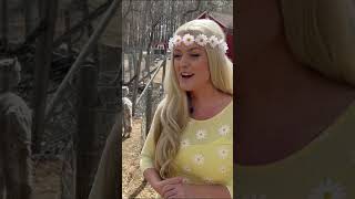 Fun Facts About Alpacas  Farm Adventure with Miss Daisy Toddler Learning [upl. by Adnerb]