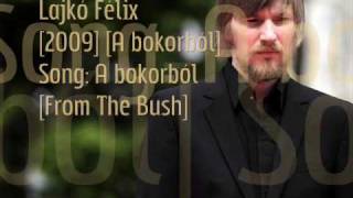 Lajko Felix  track09  A Bokorbol  From The Bush [upl. by Moishe]