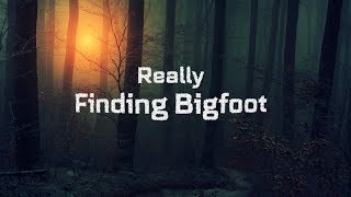 Really Finding Bigfoot  Official Movie [upl. by Mildred860]