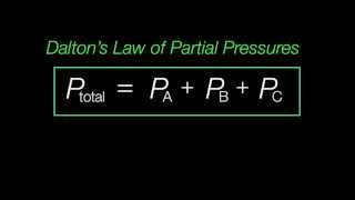 Daltons Law of Partial Pressures Explained [upl. by Anelac]