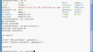 Obtaining the Process ID in Linux with C [upl. by Roarke]