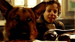 Finding Rin Tin Tin  Official Trailer [upl. by Viehmann]