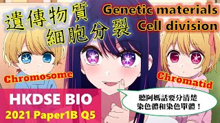 DSE Bio│HKDSE 2021 1B Q5│cell division 細胞分裂│chromosome 染色體│mitosis 有絲分裂│Faith Education雙語Bilingual [upl. by Zeba166]