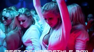 Best of Hardstyle 2011 HQ [upl. by Anialeh]