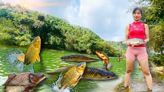 Fishing videos using Fishing With Devil Slide traps to harvest fish [upl. by Deeann720]