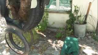 HOW TO MAKE A SWING FOR KIDS FROM AN OLD TIRE  HORSE SHAPE [upl. by Yentrok]