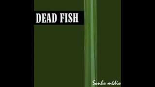 Dead Fish  Mulheres Negras [upl. by Zaob24]