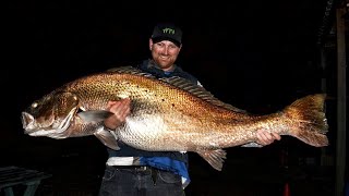 458kg Jewfish Silver mulloway Yes you read that correctly [upl. by Anikes]