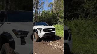 2024 Toyota Tacoma TRD Pro is a Freak of Nature [upl. by Arata]