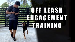 Off leash engagement training [upl. by Rednasxela887]