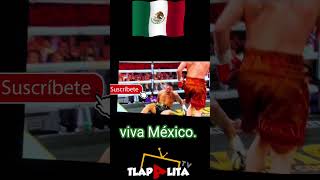 CaneloAlvarezOfficial canelo manda a la lona al puerco Risueño viva México [upl. by Adnalue]