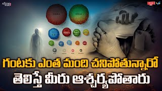 గంటకు ఎంత మంది చనిపోతున్నారో తెలిస్తే మీరు ఆశ్చర్యపోతారు  Facts  Tas Mix [upl. by Macilroy654]