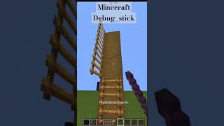 Minecraft Debugstick Magic 🪄 [upl. by Amadeus]