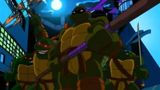 How To Become a Teenage Mutant Ninja Turtle TMNT [upl. by Hayse271]