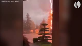 Lightning strikes tree in Gresham [upl. by Atiseret]