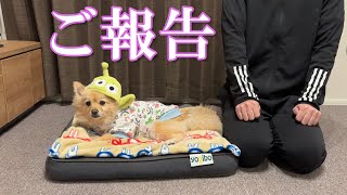 【ご報告】YouTubeのランキングで日本2位になりました！ [upl. by Alyakcm]