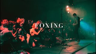 Foxing quotRoryquot [upl. by Gizela]