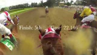 Hialeah Park Quarter Horse Jockey Cam EquiSight Ride the Race in HD [upl. by Darnell468]