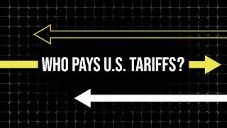 Who Actually Pays Tariffs [upl. by Falkner416]