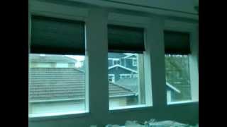 Somfy Automated blinds honeycomb  Somfy Telis 5 channel remote control  Somfy CT32 RTS Motor [upl. by John331]