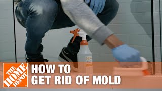 How to Get Rid of Mold  The Home Depot [upl. by Drogin]