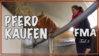 PFERD KAUFEN Teil 3 ✮✮✮✮✮ Grusel Roadtrip [upl. by Eikcaj]